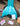 The Complete Coastal Collection